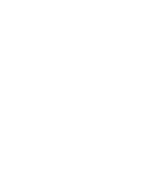 BIGONE Inc. logo